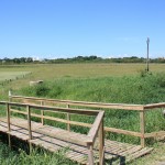 Sai verba para alavancar novo parque no Campeche