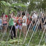 SAFRA da tainha anima pescadores do Campeche e Sul da Ilha