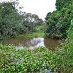 REFÉNS do medo após três meses da enxurrada que devastou região