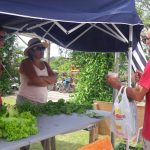 HORTA comunitária do bairro faz doação de hortaliças aos sábados